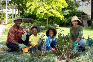 gardening in New York in family